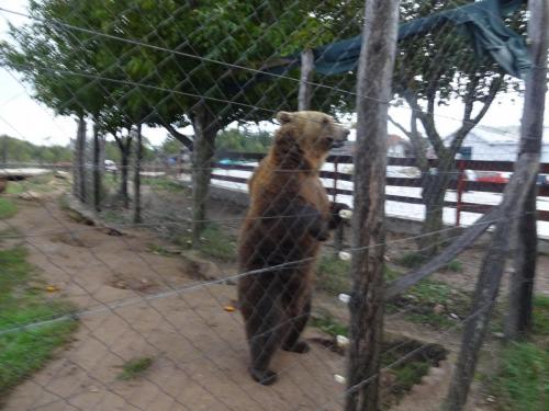 2015-09-29 13-53-36.JPG