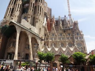 DSC 01080.jpg