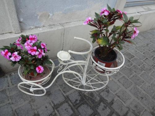 2015-10-03 09-49-54.JPG