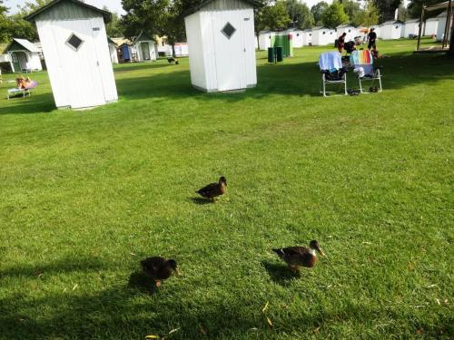 2016-09-15 11-40-02.JPG