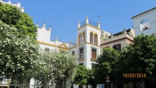 IMG_3682.JPG