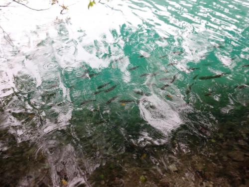 2015-09-29 11-51-04.JPG