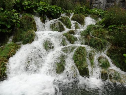 2015-09-29 12-07-24.JPG