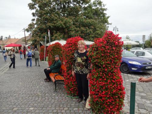 2015-09-27 10-20-38.JPG