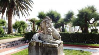 DSC 00573.jpg