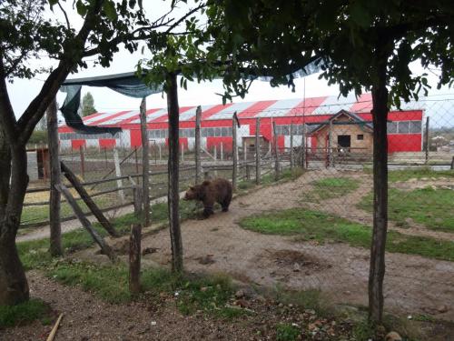 2015-09-29 13-47-14.JPG