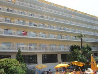 IMG_2226.JPG