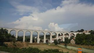 DSC 00450.JPG