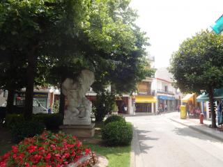 DSC 01303.JPG