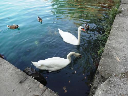 2016-09-14 12-57-52.JPG