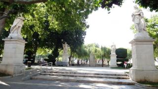 DSC 00616.jpg