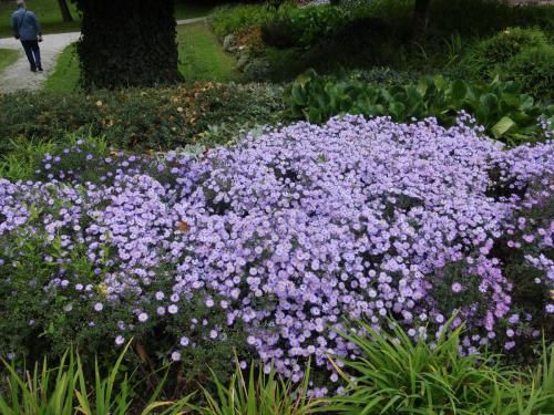 2015-09-28 10-53-28.JPG