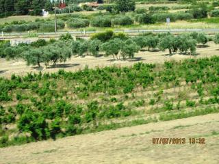 IMG_1900.JPG
