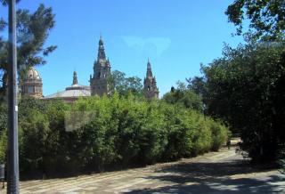 IMG_0035.JPG