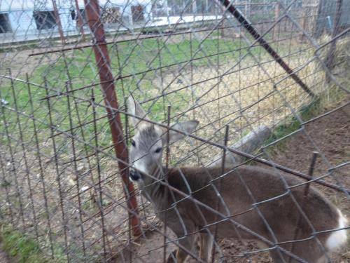 2015-09-29 13-50-12.JPG