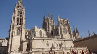 DSC 00660.JPG