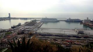 DSC 00982.jpg