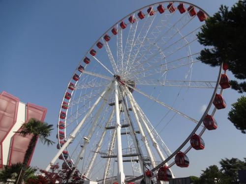 2016-09-12 09-20-54.JPG