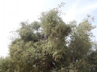 DSC03061.JPG