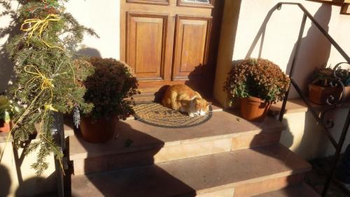 2017-01-01 12-18-48.JPG