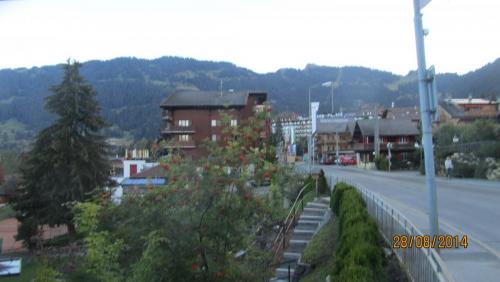 IMG_0050.JPG