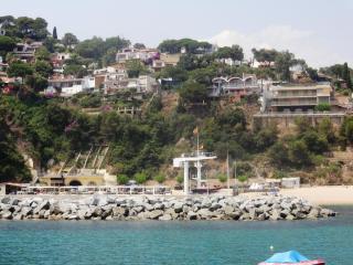 DSC 01342.jpg