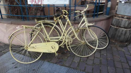 2017-01-01 11-56-40.JPG