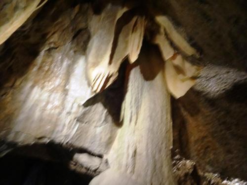 2015-12-30 08-51-48.JPG