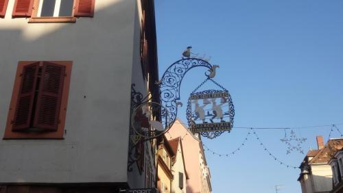 2017-01-01 13-46-56.JPG