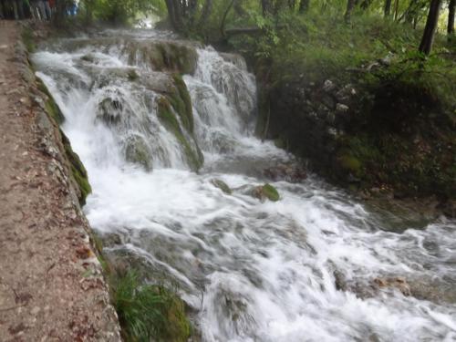 2015-09-29 11-45-20.JPG