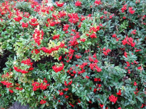 2015-10-01 05-52-44.JPG