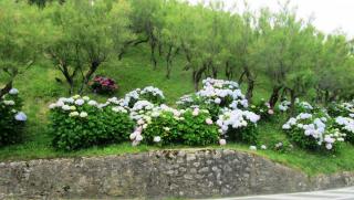 IMG_0073.JPG