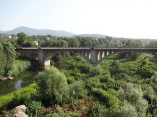 DSC 01138.JPG