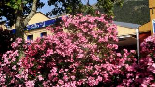 DSC 00745.jpg