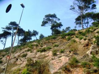 IMG_1892.JPG
