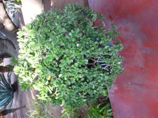 DSC02862.JPG