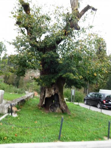 2015-10-01 12-20-50.JPG