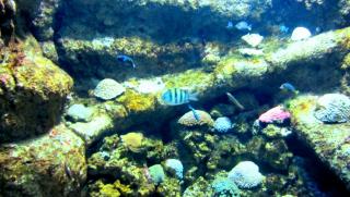 IMG_0151.JPG