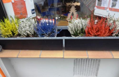 2016-01-04 12-24-00.JPG