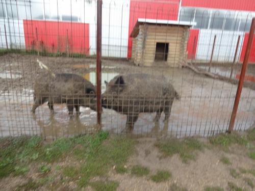 2015-09-29 13-51-14.JPG