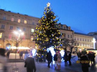 IMG_0543.JPG