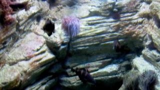 IMG_0135.JPG