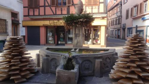 2017-01-01 09-59-46.JPG