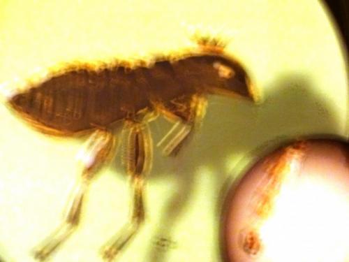 2015-09-27 11-05-02.JPG