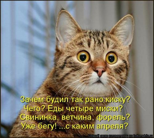 1 апреля (2).jpg