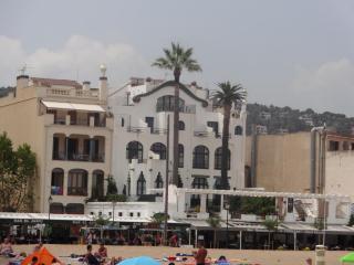 DSC 01313.JPG