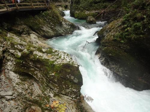 2015-10-02 09-47-46.JPG