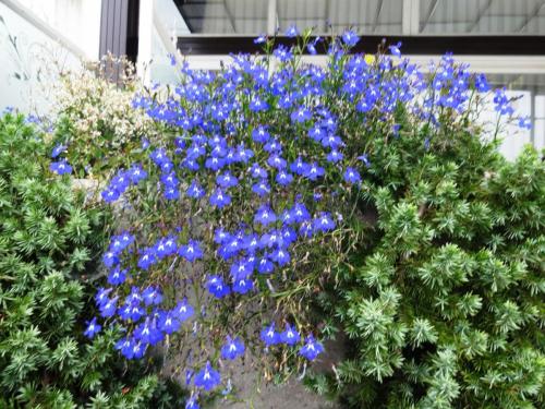 2015-10-02 08-06-48.JPG