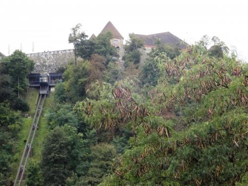 2015-10-01 14-54-36.JPG