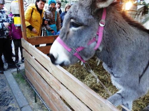 2015-12-31 14-20-26.JPG